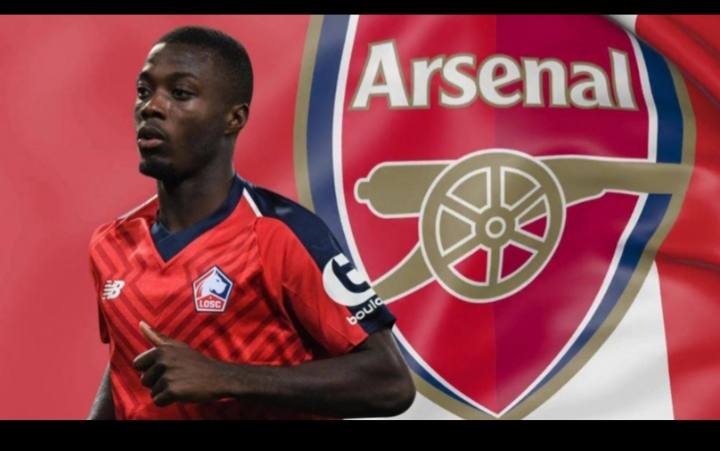 Gunners Reach Agreement To Sign Lille Winger Nicolas  For 80 Million Euro 
