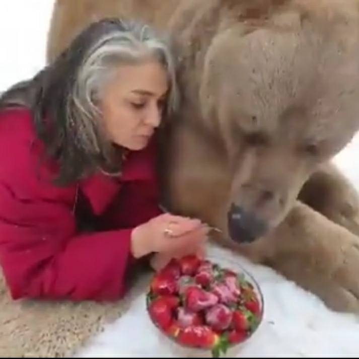 Thats amazing  It's a beautiful Bear with women 