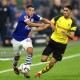AFRICAN PLAYERS IN THE BUNDESLIGA AFRICAN PLAYERS IN THE BUNDESLIGA